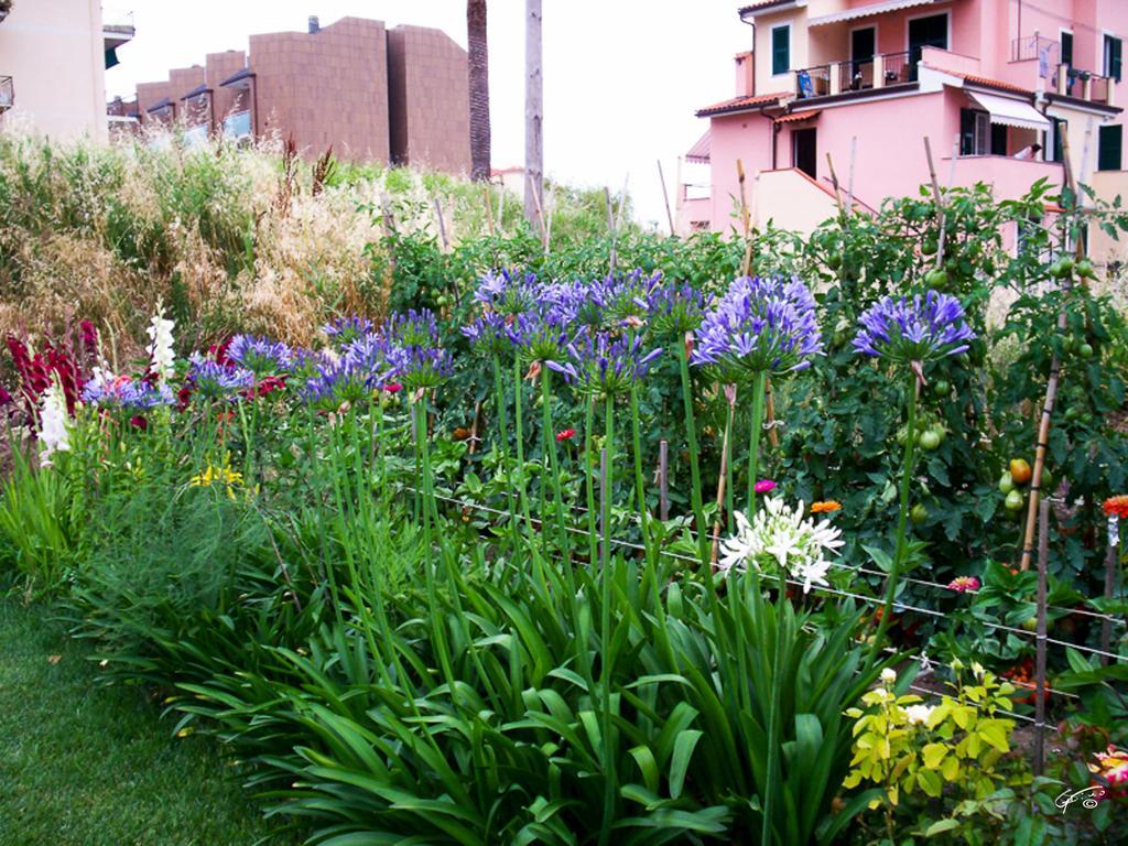 Guest House Arancia145 Ceriale Exterior photo